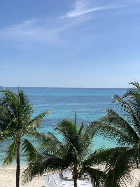 Palmas junto a la costa de Cancún con el mar al fondo